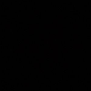 Meet your Posher, Kandyn